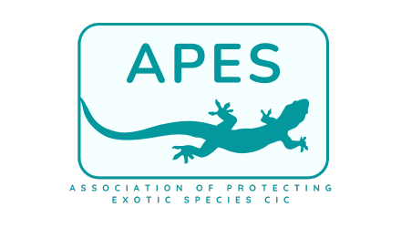 APES Donor Logo